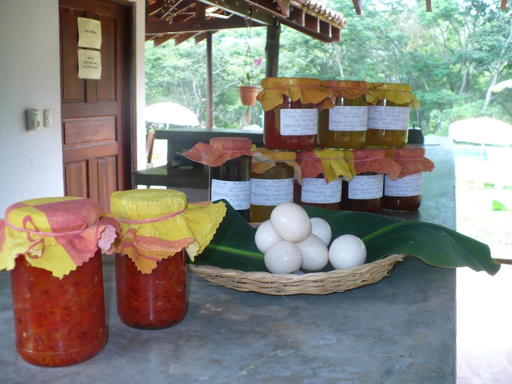 Finca Buena Fuente Residence Hotel Nicoya Luaran gambar