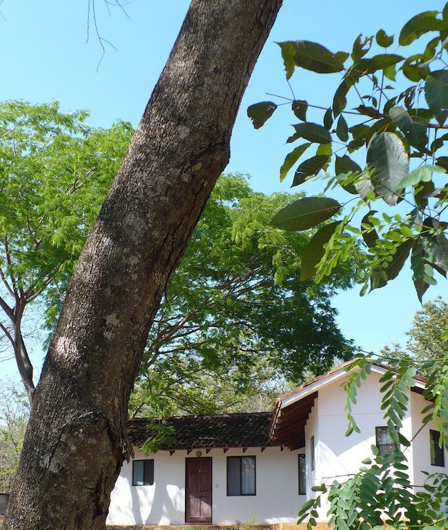 Finca Buena Fuente Residence Hotel Nicoya Luaran gambar