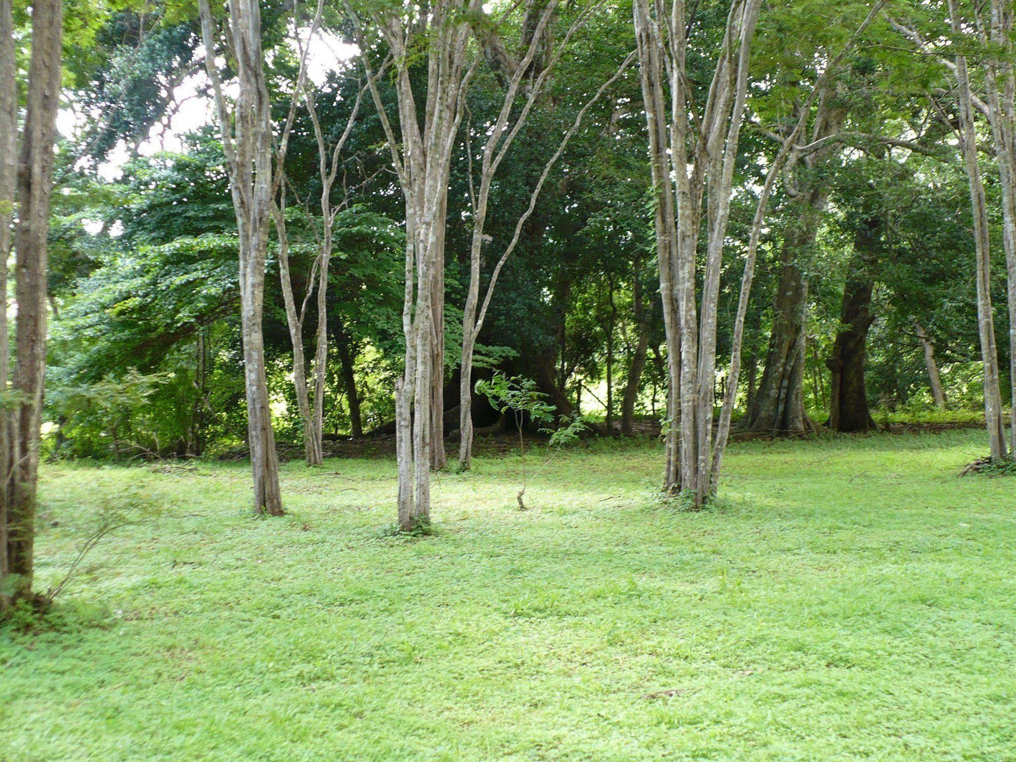 Finca Buena Fuente Residence Hotel Nicoya Luaran gambar
