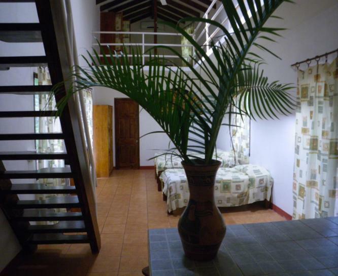 Finca Buena Fuente Residence Hotel Nicoya Luaran gambar